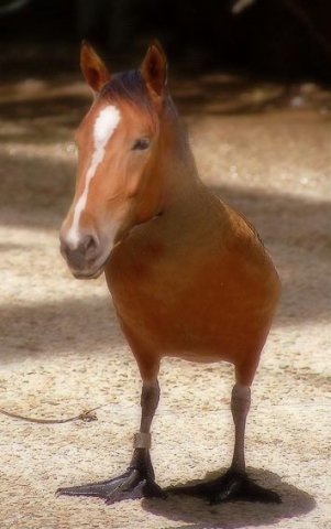 №22, Всеволод Портяной №22, Всеволод Портяной