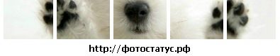 №34 Ксения Фадеева 20.04: профиль, фото, статус - ВКонтакте