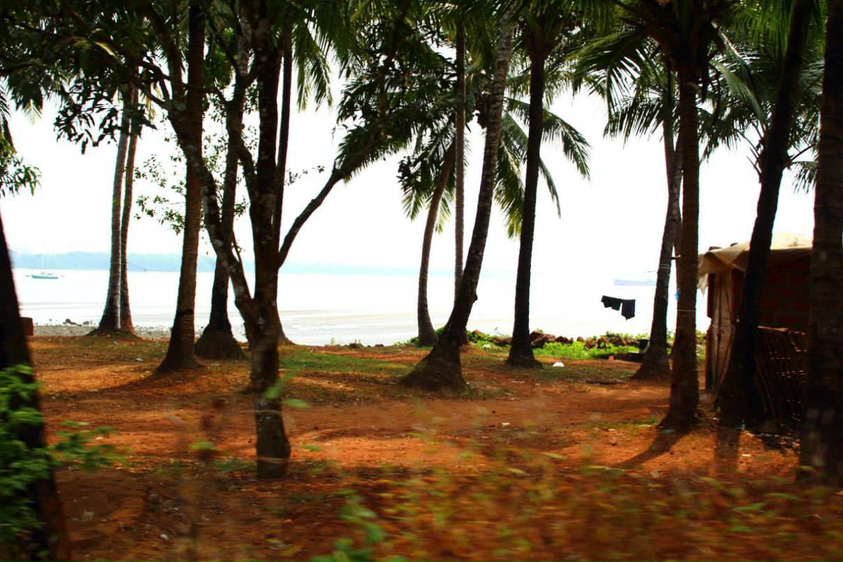 Анна Дытюк | Киев