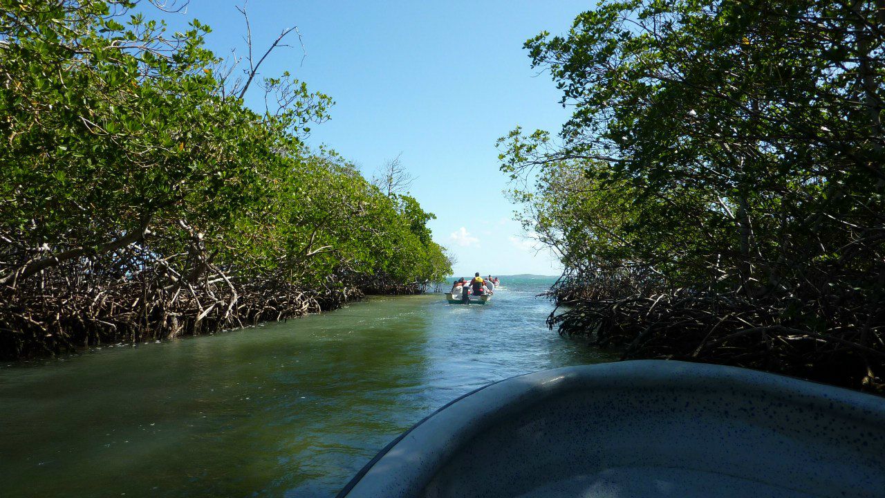 Максим Голушко | Köln