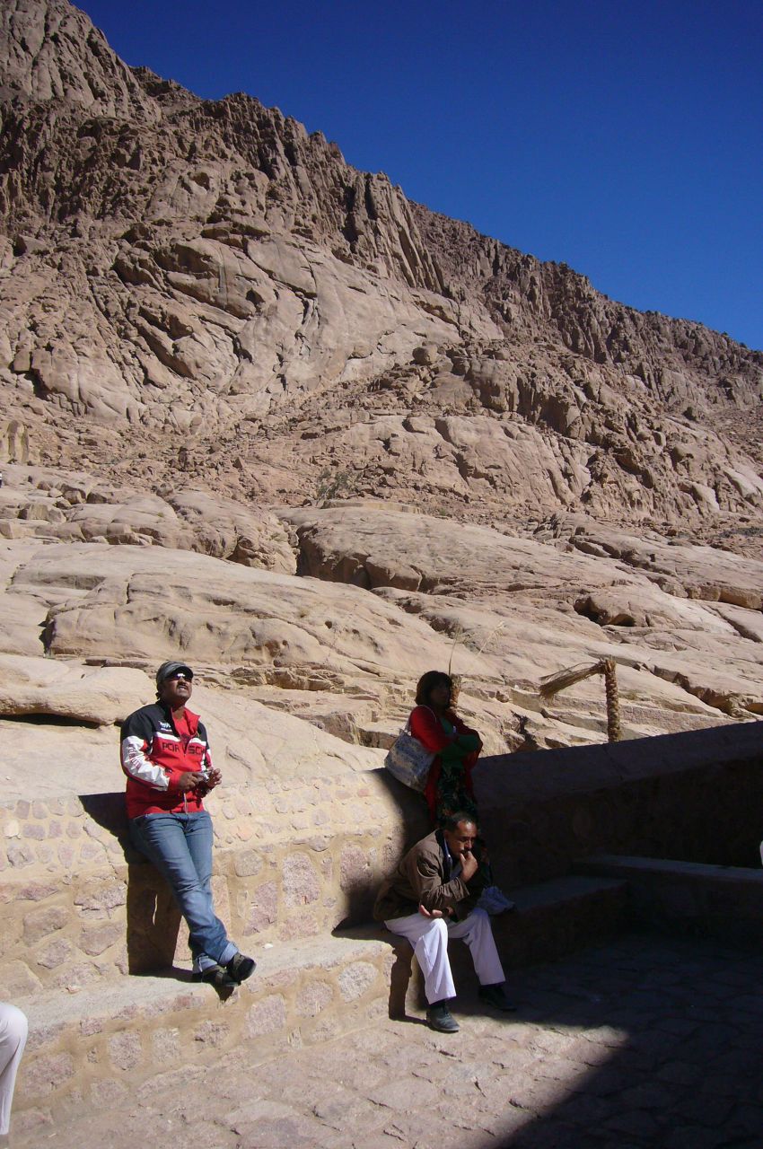 Елена Гойда | Сосновый Бор