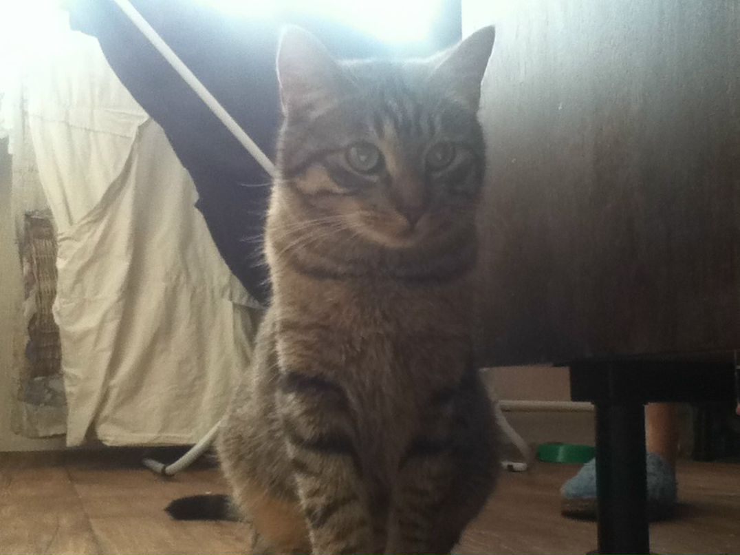 Сергей Саноцко | Санкт-Петербург