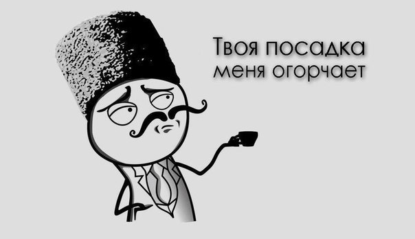 Илья Веденин | Череповец