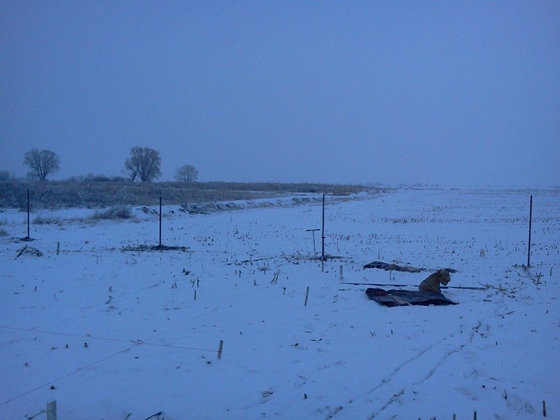 Евгений Солонин | 