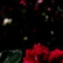 №76, Лильмо Хайбех, Луганск №76, Лильмо Хайбех, Луганск