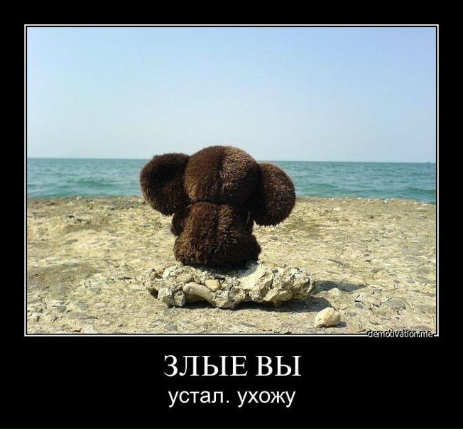 №37, Григорий Буйлов, Севастополь №37, Григорий Буйлов, Севастополь