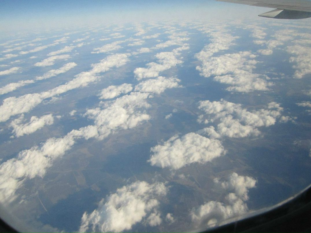 Дима Симонов | Москва