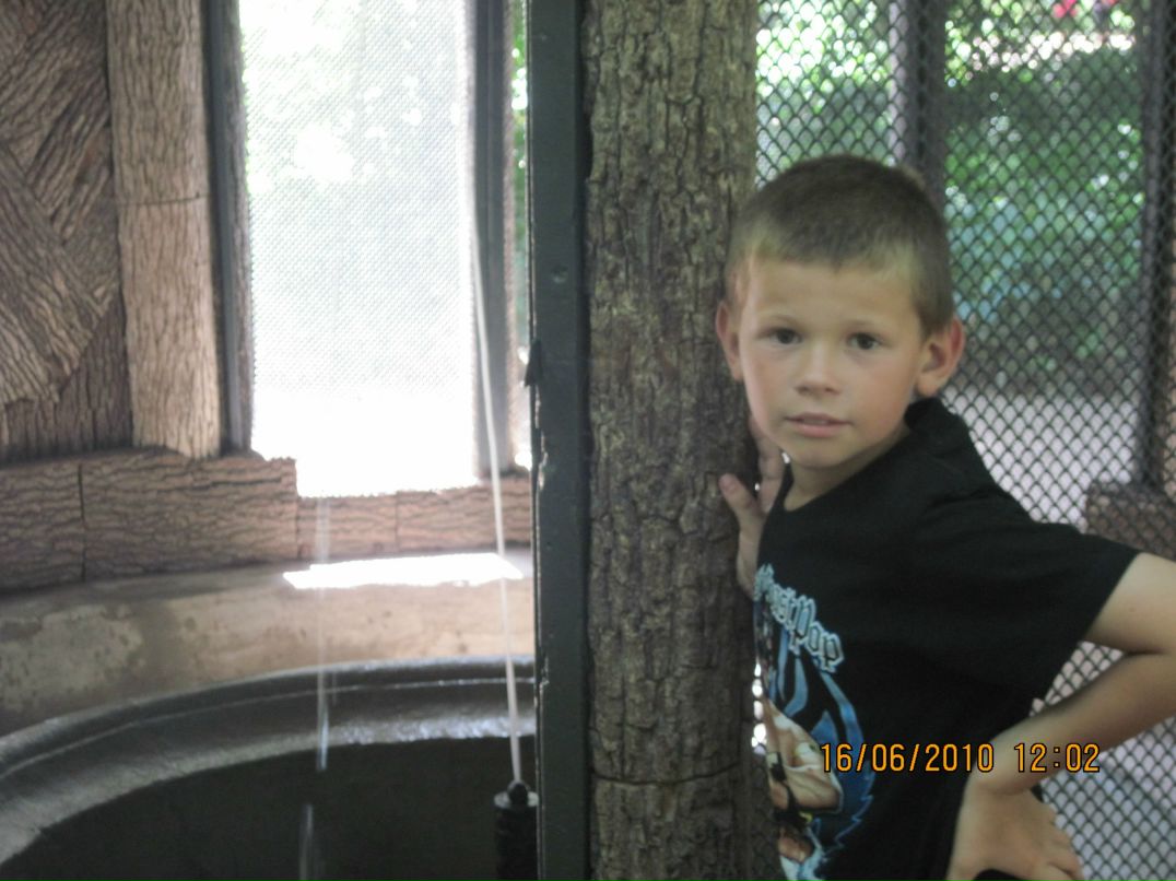 Сергей Павлюк | Бердичев