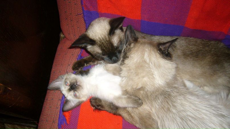 Кристина Прокофьева | Саратов