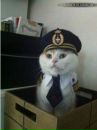 Фотография Данил Смолев