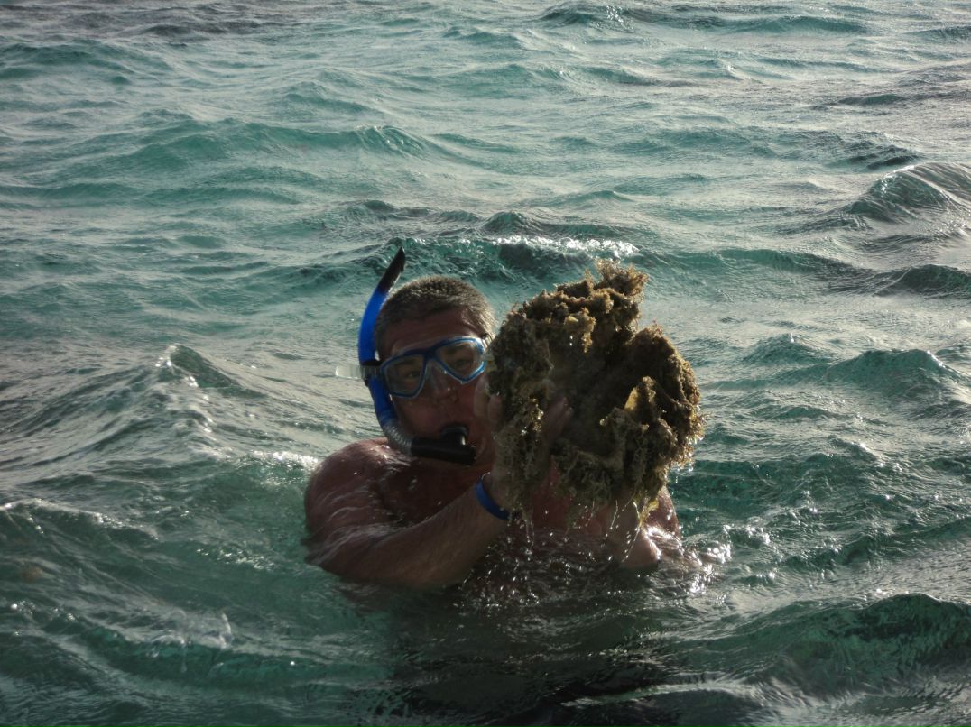 Денис Комрадов | Мга