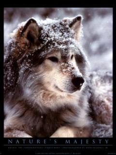 Артемий Гелич | Санкт-Петербург