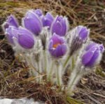 Екатерина Таболина | Иркутск