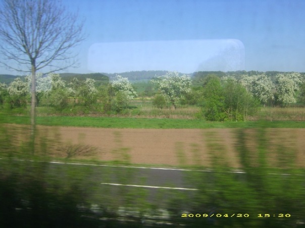 №7, Ольга Быкова №7, Ольга Быкова