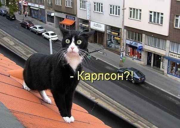 №64, Шерхан Эшкобелов, Санкт-Петербург №64, Шерхан Эшкобелов, Санкт-Петербург