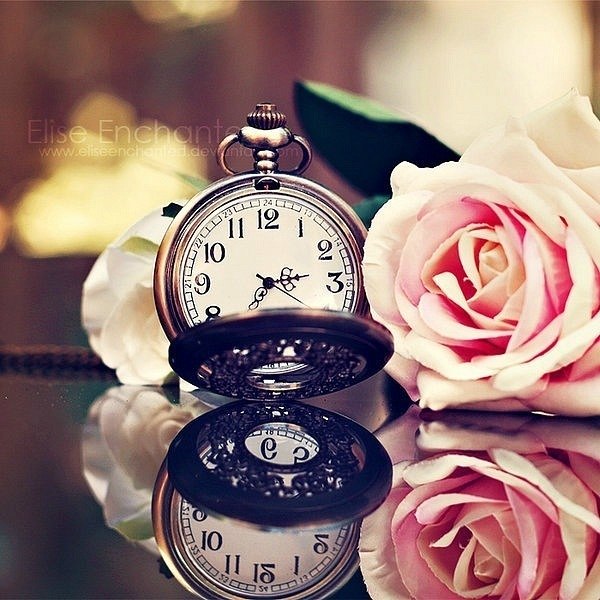 The Moonlight أمة الله | Vila