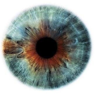 №195, Андрей Зайцев, 40 лет, Петрозаводск №195, Андрей Зайцев, 40 лет, Петрозаводск