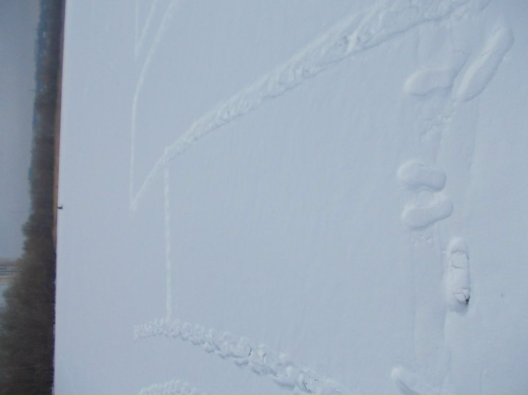 Влад Азаров ~$u$~ | 