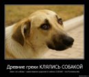 №16 Андрюха Борисенко 19.01.1992: профиль, фото, статус - ВКонтакте
