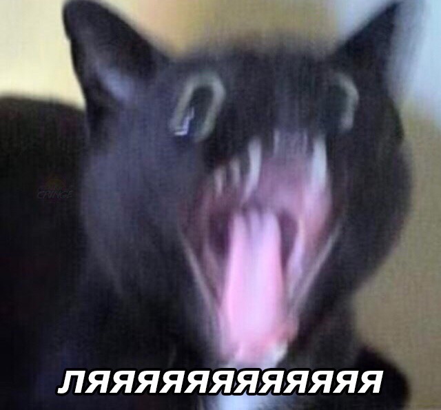 pEwphyYJl5c.jpg