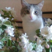 Иван Вилков | 