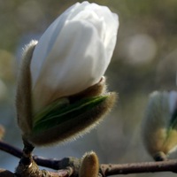 Павел Минкин | Череповец