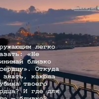 Эльчин Магеррамов |