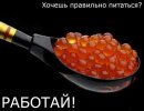 Фотография Александра Сварцевич-Елькина