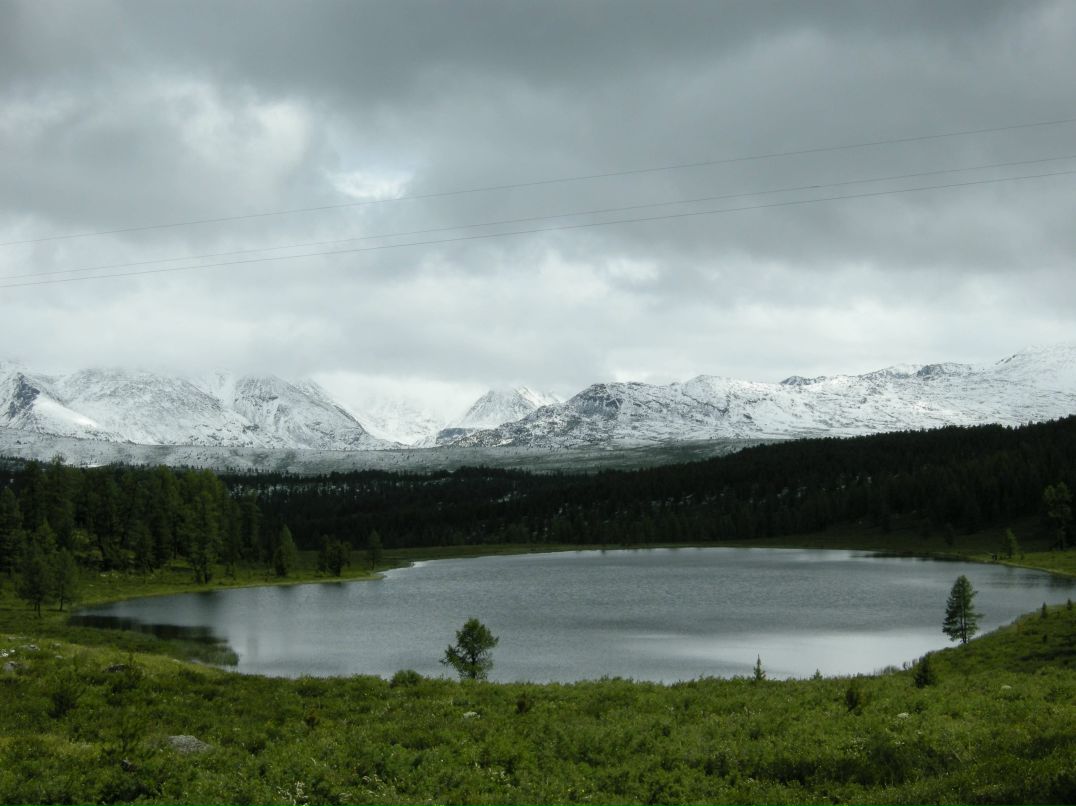 Ирина Куйдина | Новосибирск