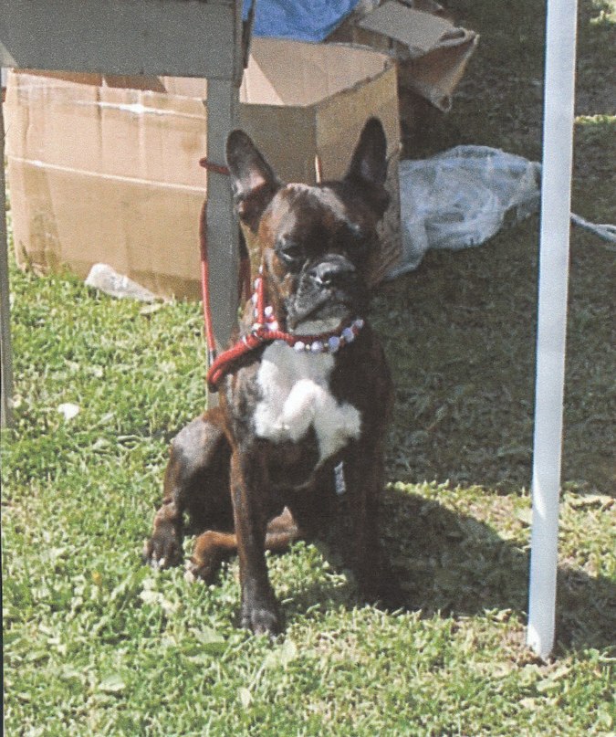 Галина Чоговадзе | Москва