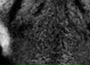 Олег Марьев | 