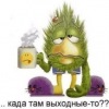 Аватар: Vadim Papuk