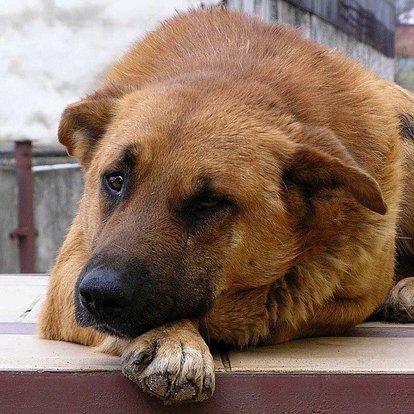 №121, Есения Прокопив, 37 лет №121, Есения Прокопив, 37 лет