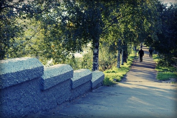 Дмитрий Трушев | Вологда