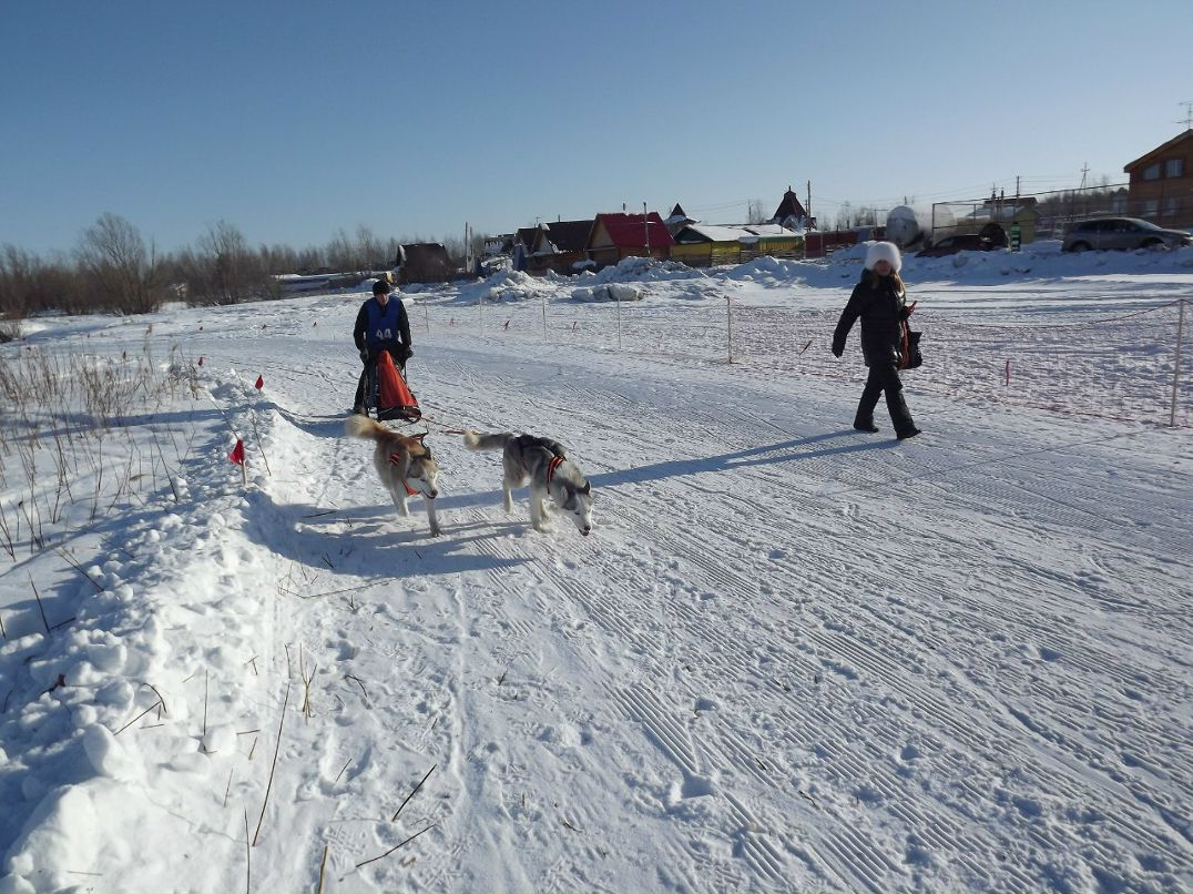 Олег Госедло | Нижневартовск