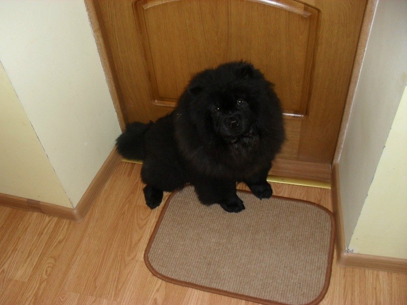 Марія Луньова | Брошнев-Осада