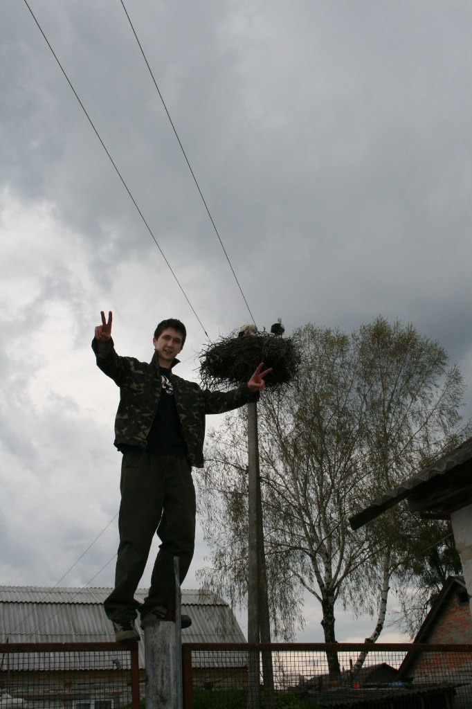 Dina Gabitulina | Житомир