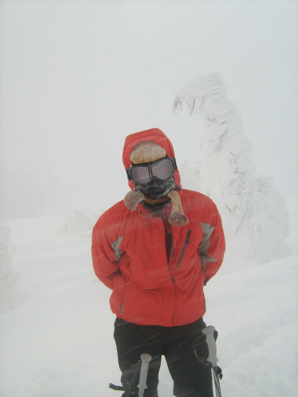 Василий Бескоровайный DOC | 