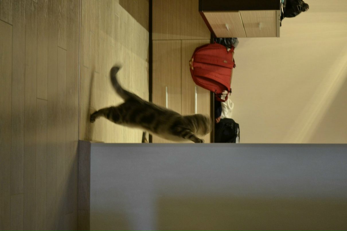 Станислав Андреевич | Краснознаменск