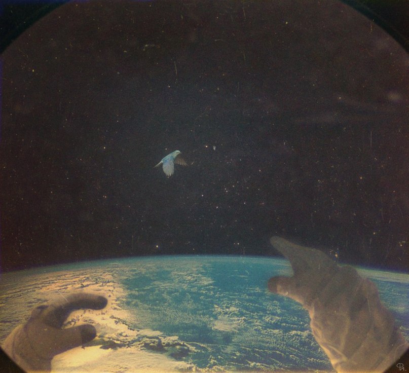 Никита Катта | Москва