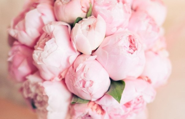 Диана Холодова | Алматы