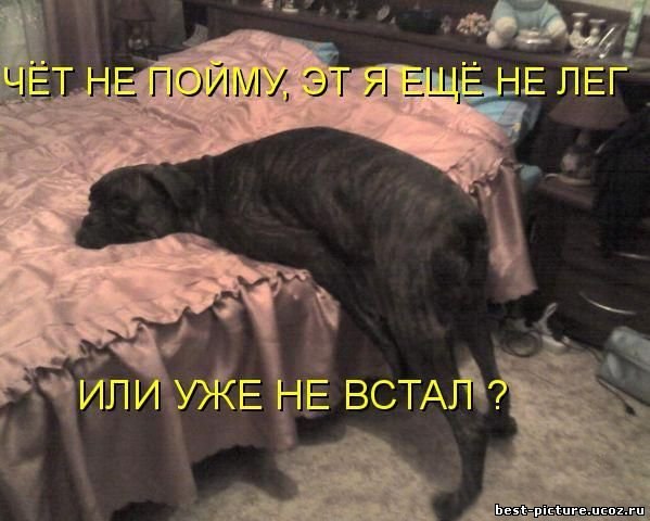 Екатерина Воробьёва | 