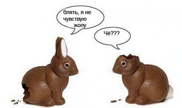 Фатина Овцана ღღღ | Mactuca