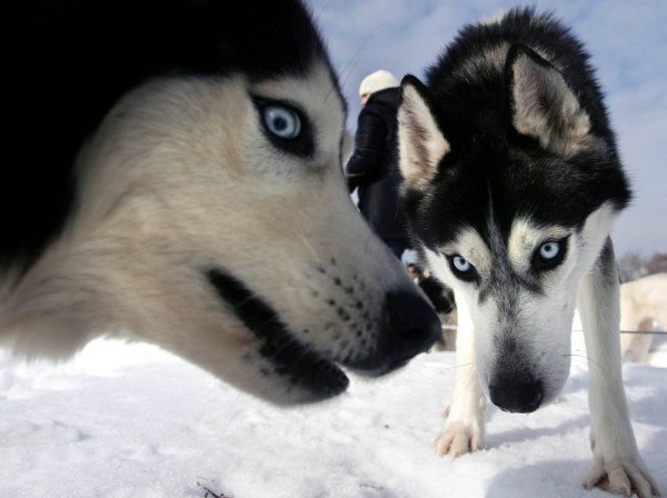 Marat Ganiev | Москва