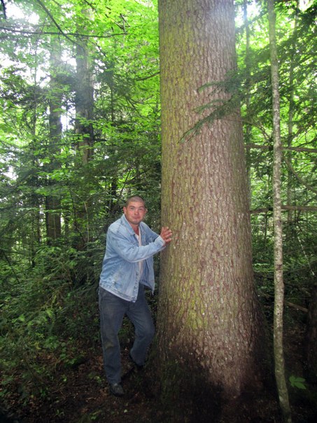 №104, Николай Холмовой, Краснодар, Россия №104, Николай Холмовой, Краснодар, Россия