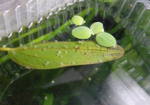 Василий Иванович | Казань