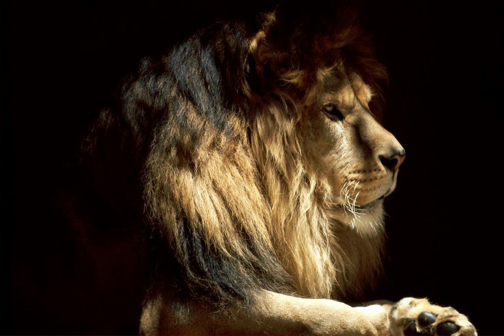 Peter Morenko | Москва