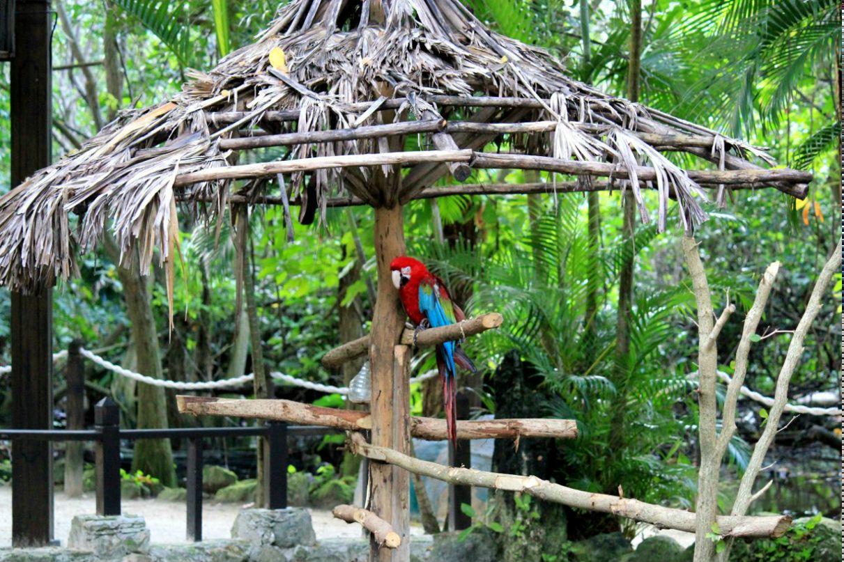 Сергей Инюшкин | Москва