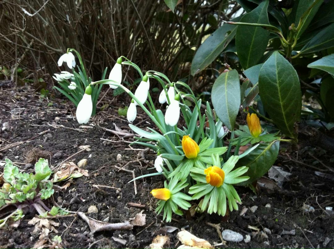 Юлия Богданова | Zürich