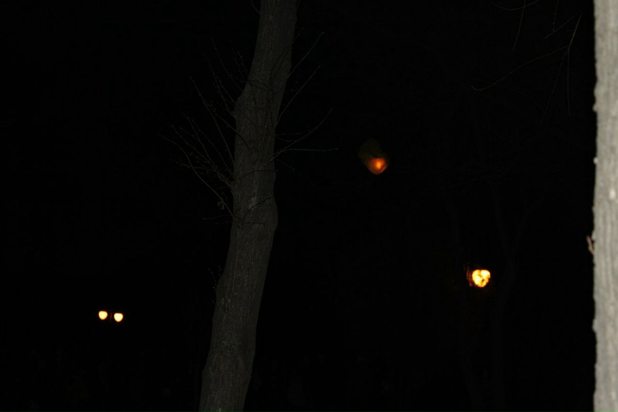 Вовча Казаченко | Харьков